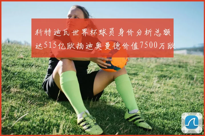 科特迪瓦世界杯球员身价分析总额达515亿欧扬迪奥曼德价值7500万欧